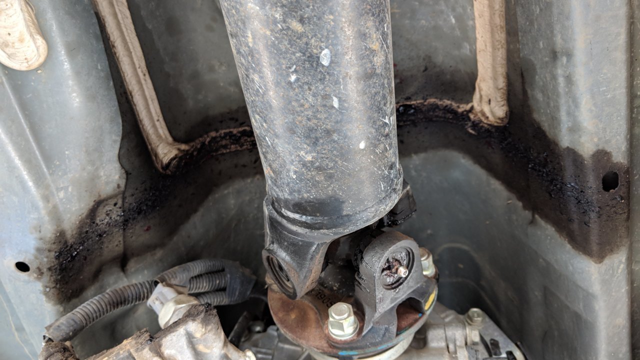 IMG_20180902_100802.jpg