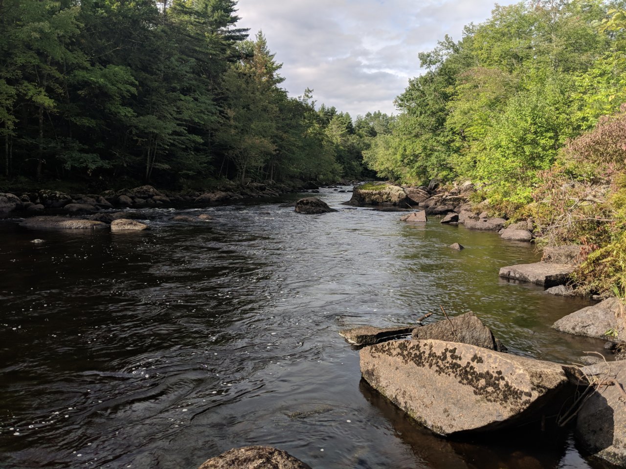 IMG_20180907_092049.jpg