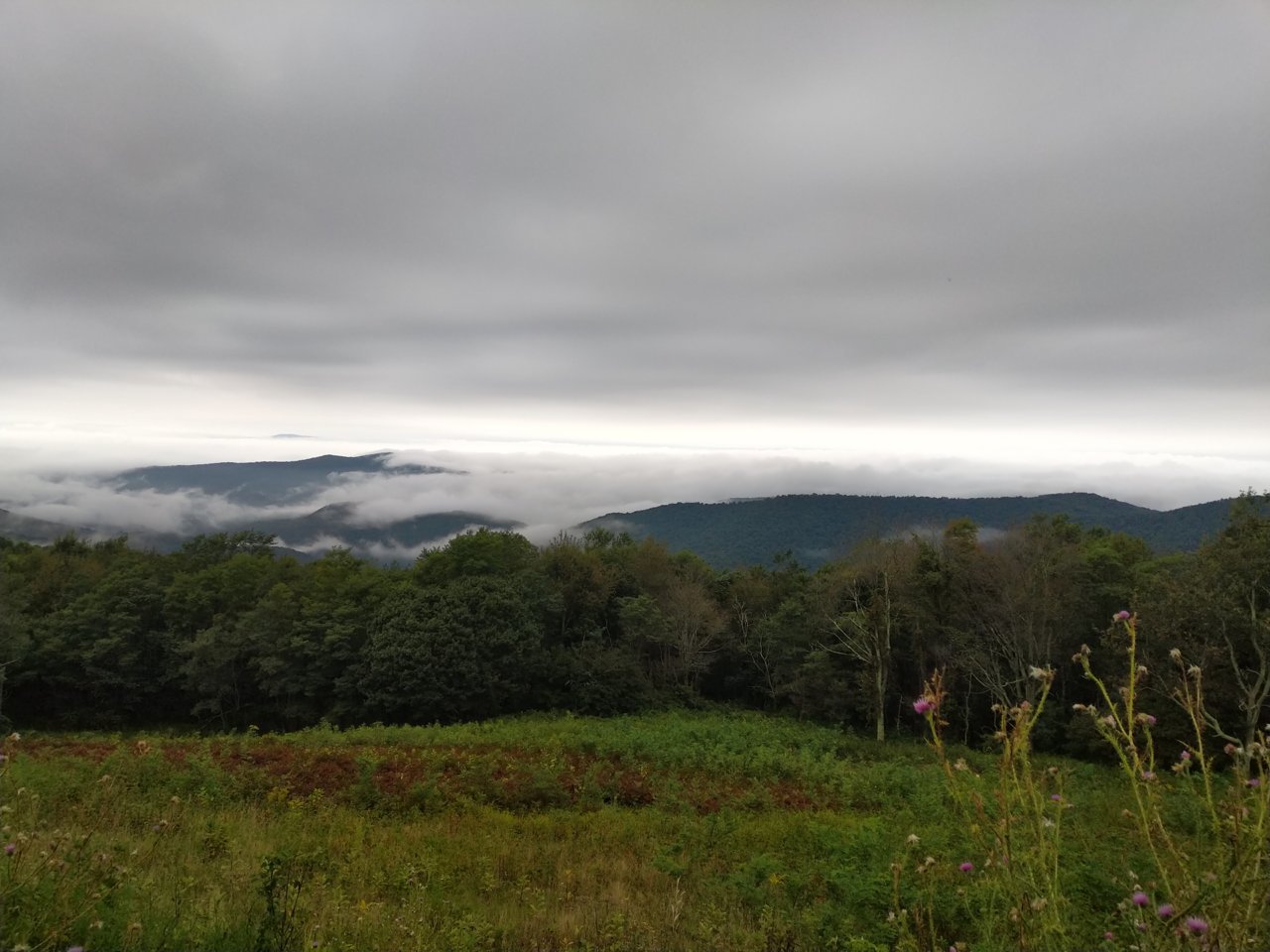 IMG_20180908_084604.jpg