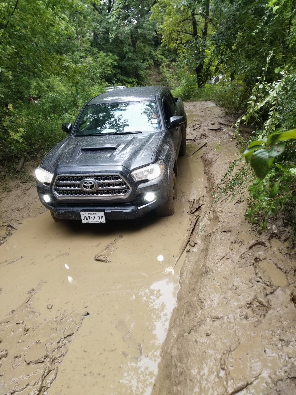 IMG_20180908_184426.jpg