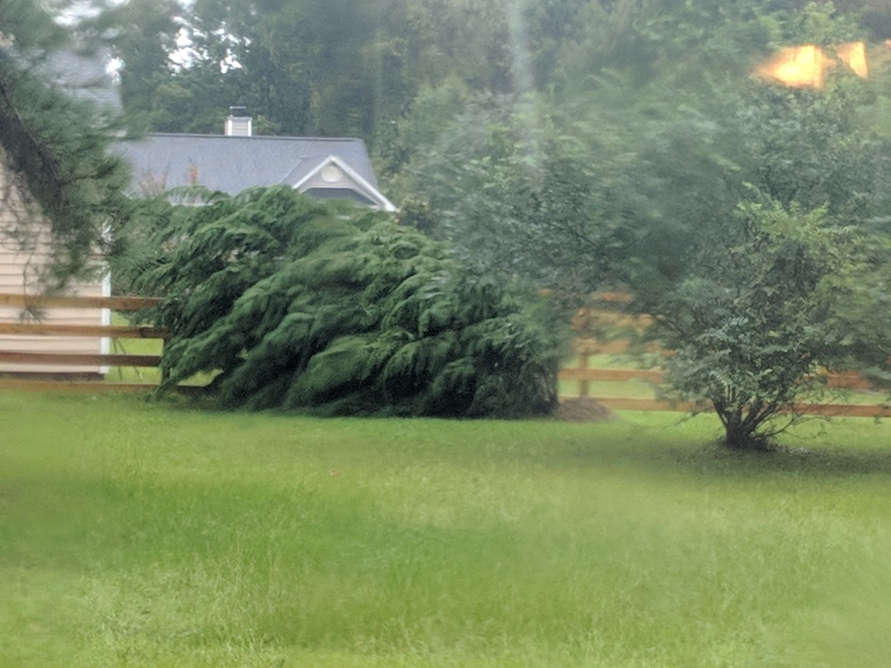 IMG_20180915_090334.jpg