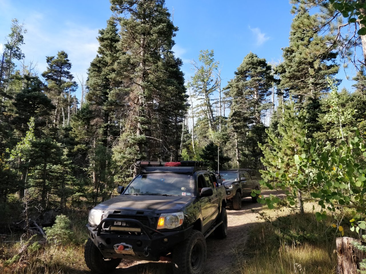 IMG_20180919_090310.jpg