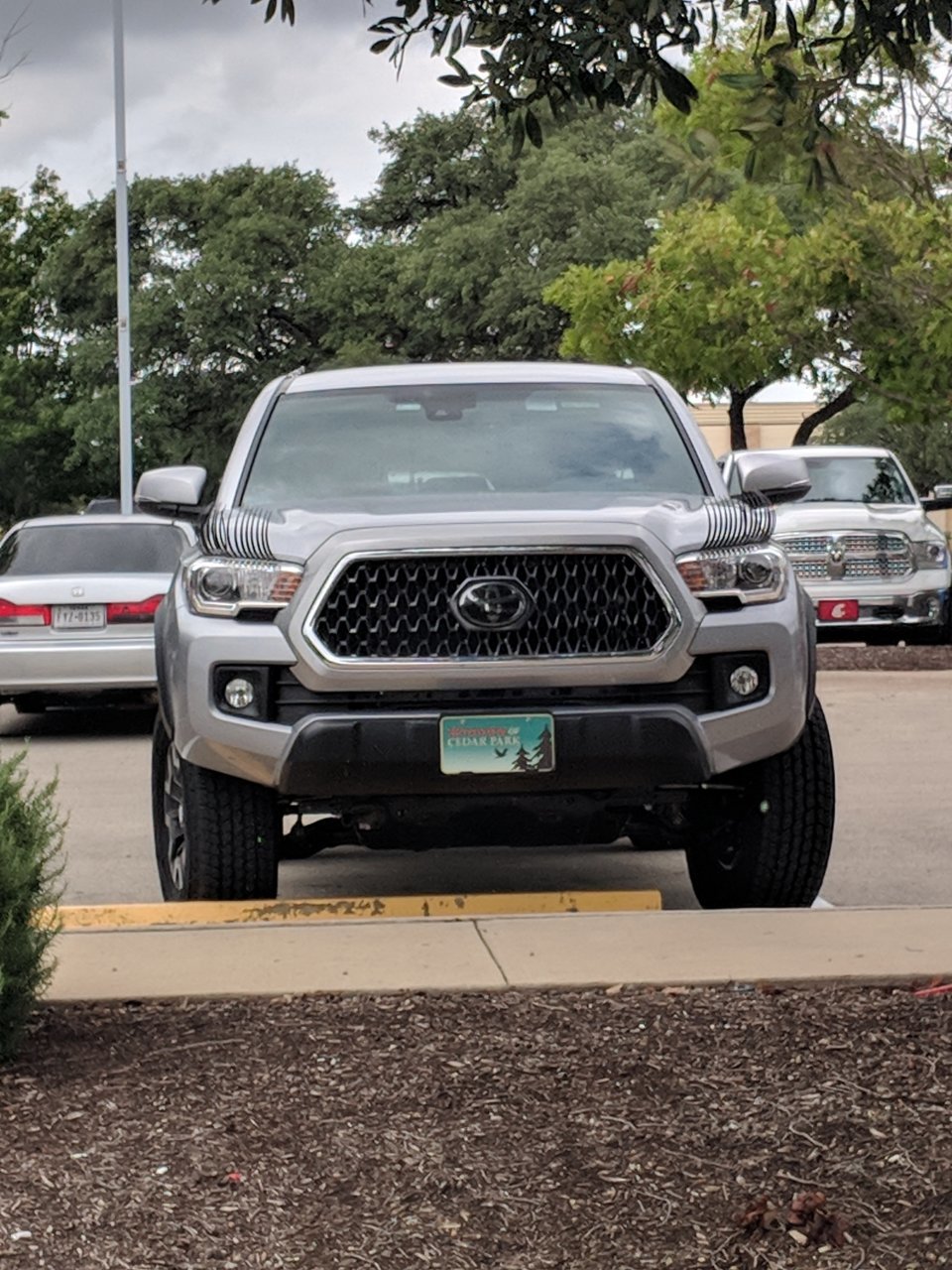 IMG_20180921_131836.jpg
