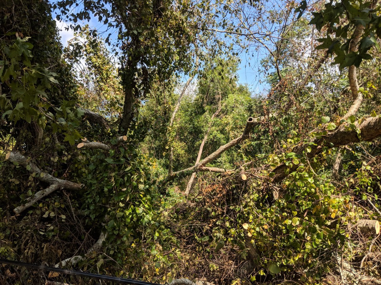 IMG_20180922_140201.jpg