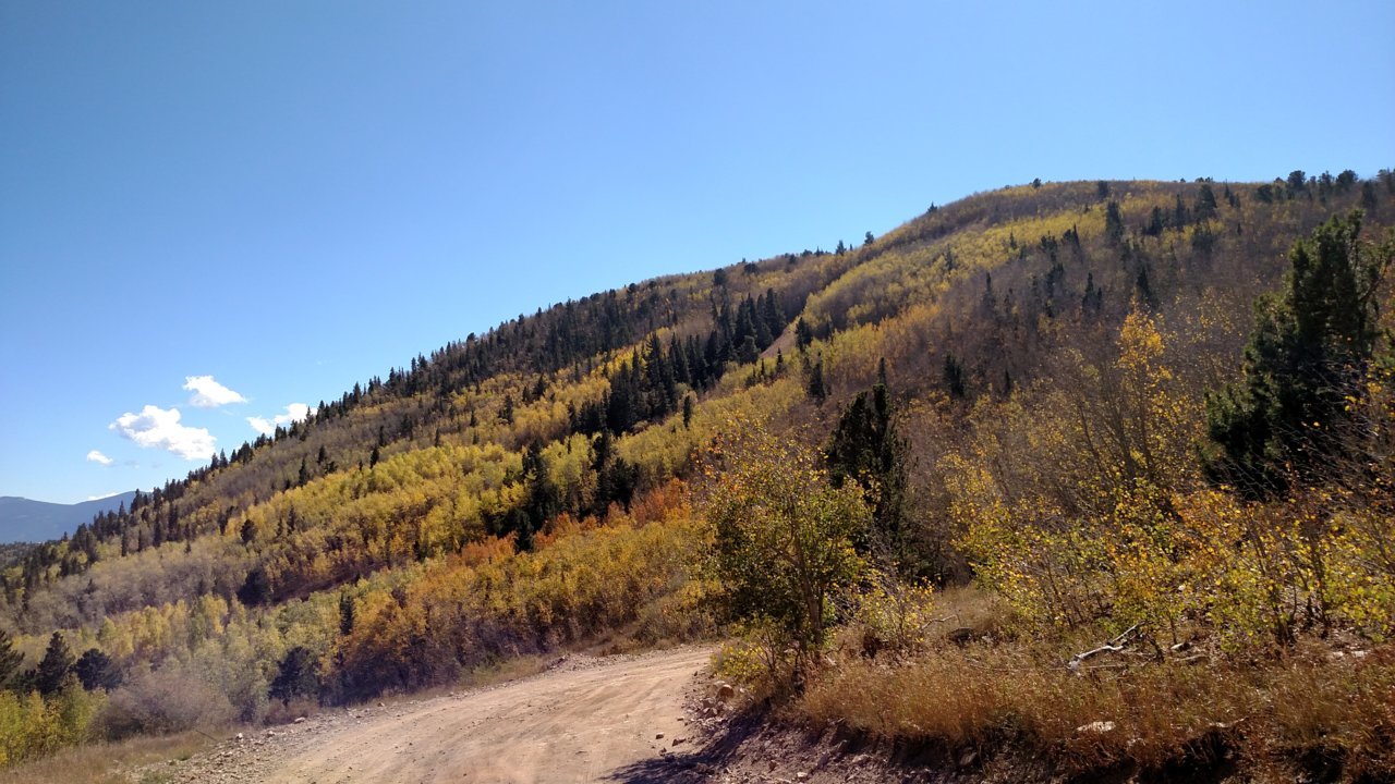 IMG_20180925_143802463.jpg