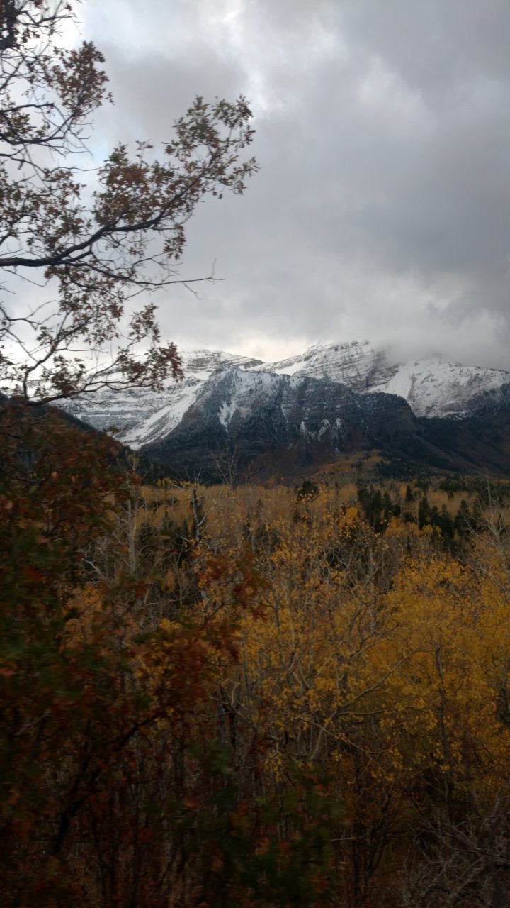 IMG_20181008_174632433.jpg