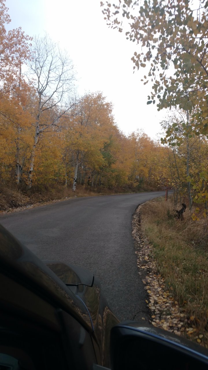 IMG_20181008_174904310.jpg