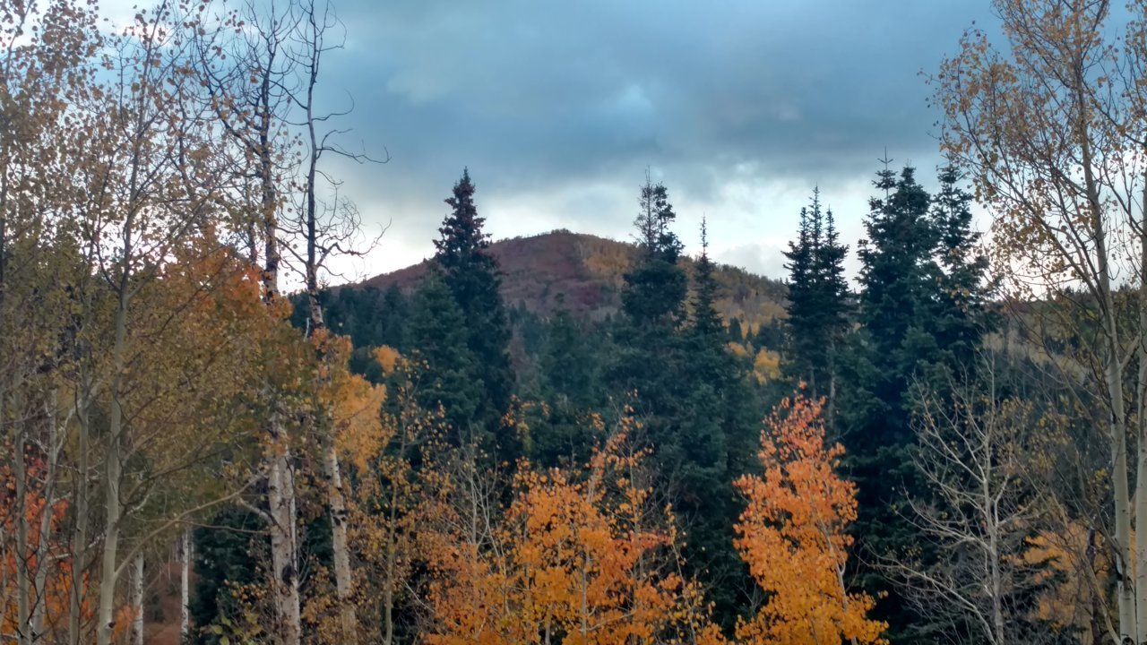IMG_20181008_182002820_HDR.jpg