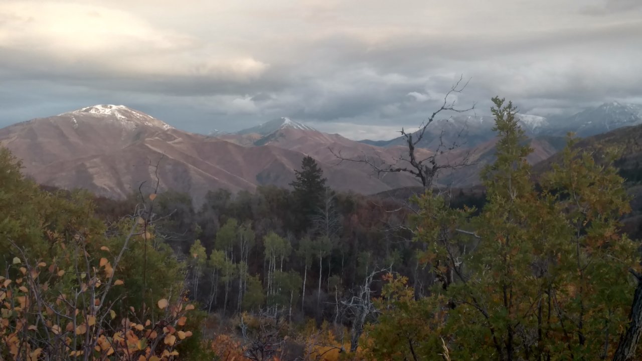 IMG_20181008_182711273_HDR.jpg