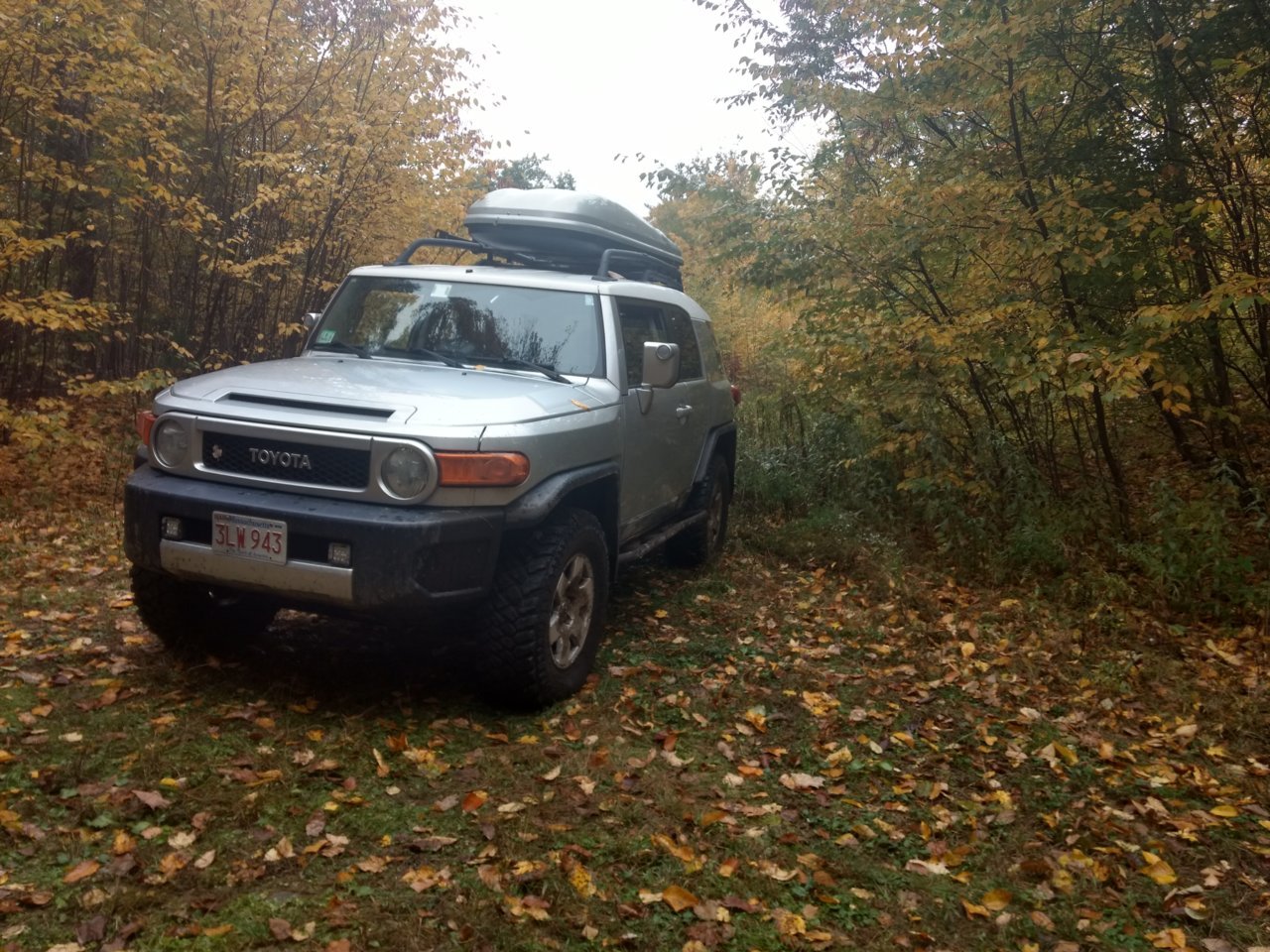 IMG_20181013_125243194_HDR.jpg