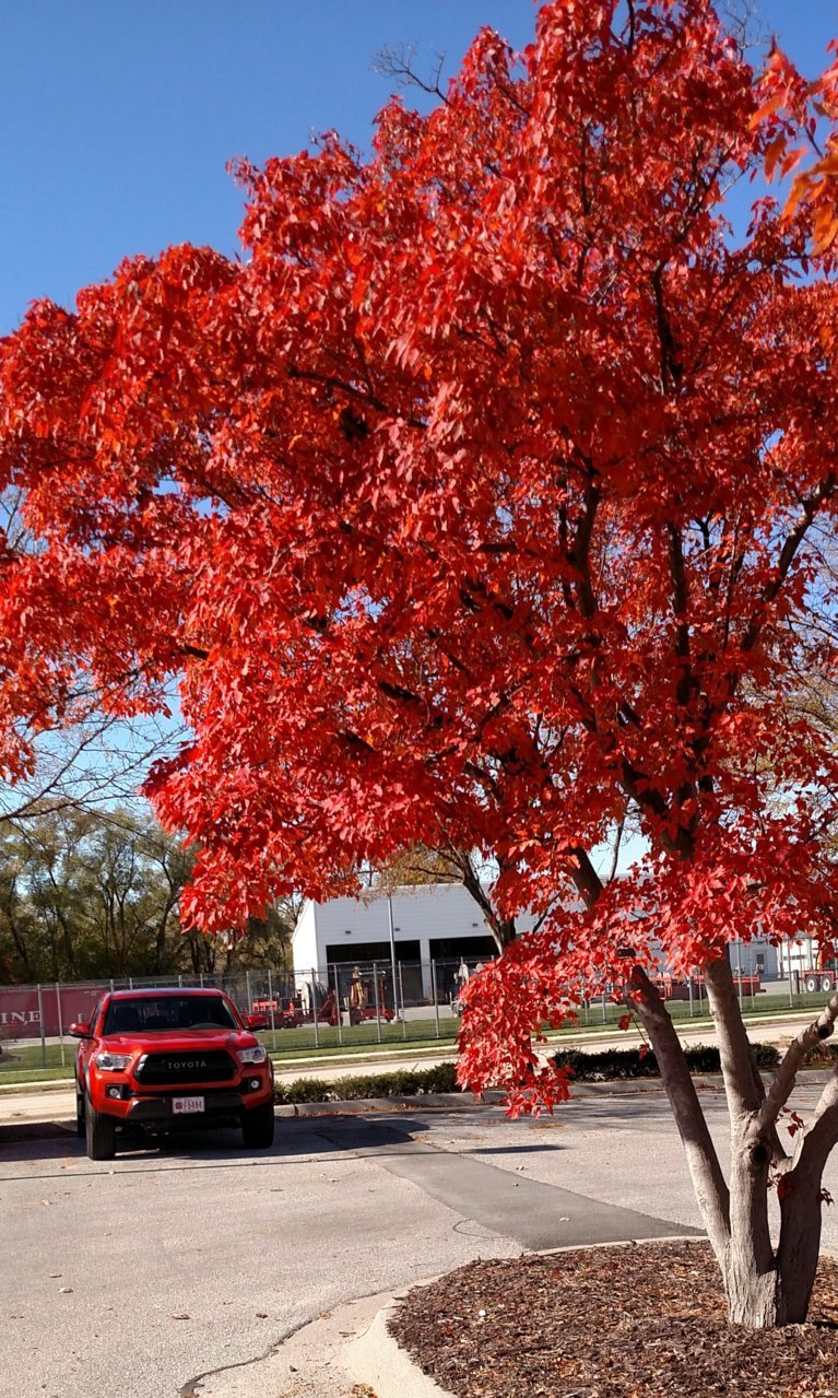 IMG_20181022_180614.jpg