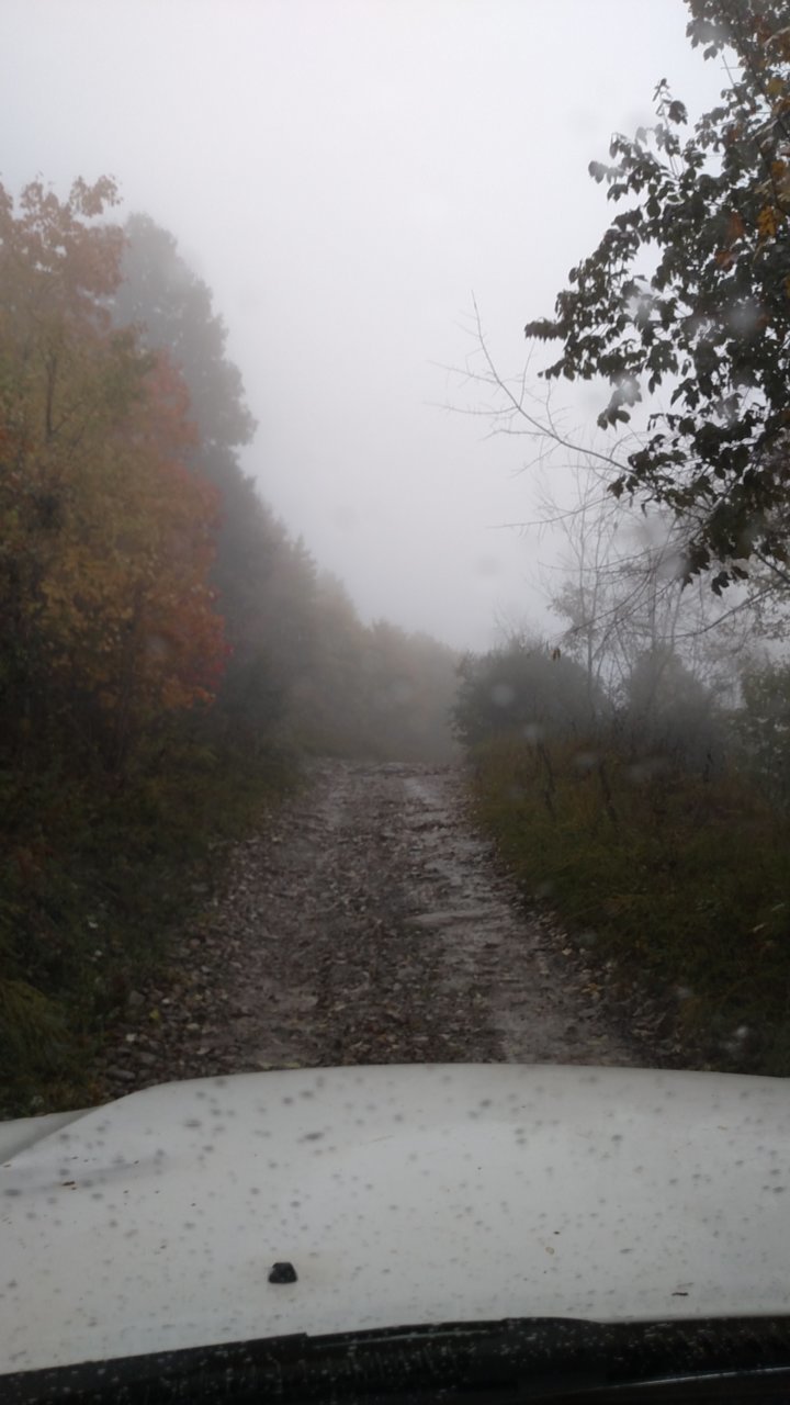 IMG_20181027_104608569.jpg