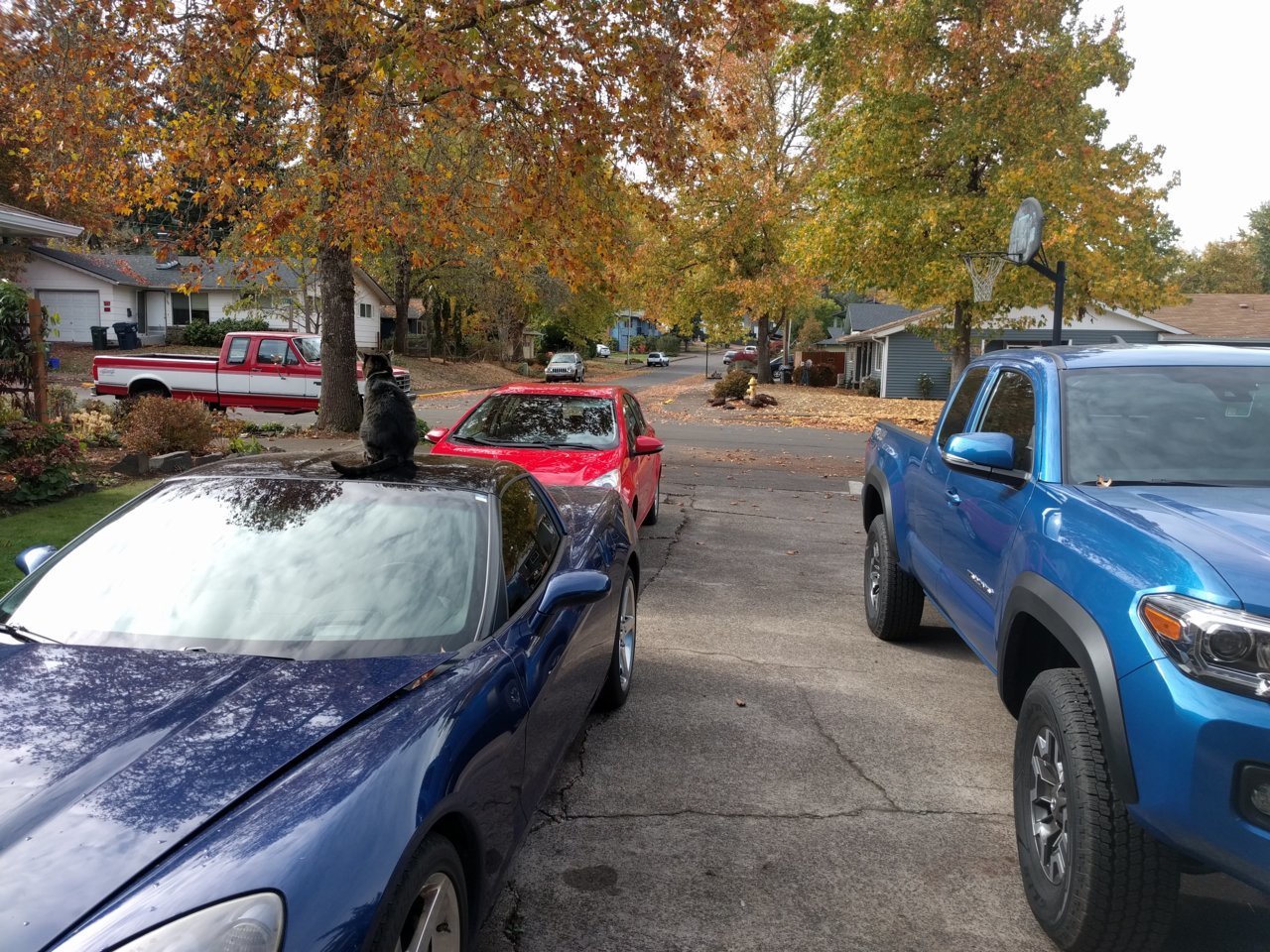 IMG_20181027_135346.jpg