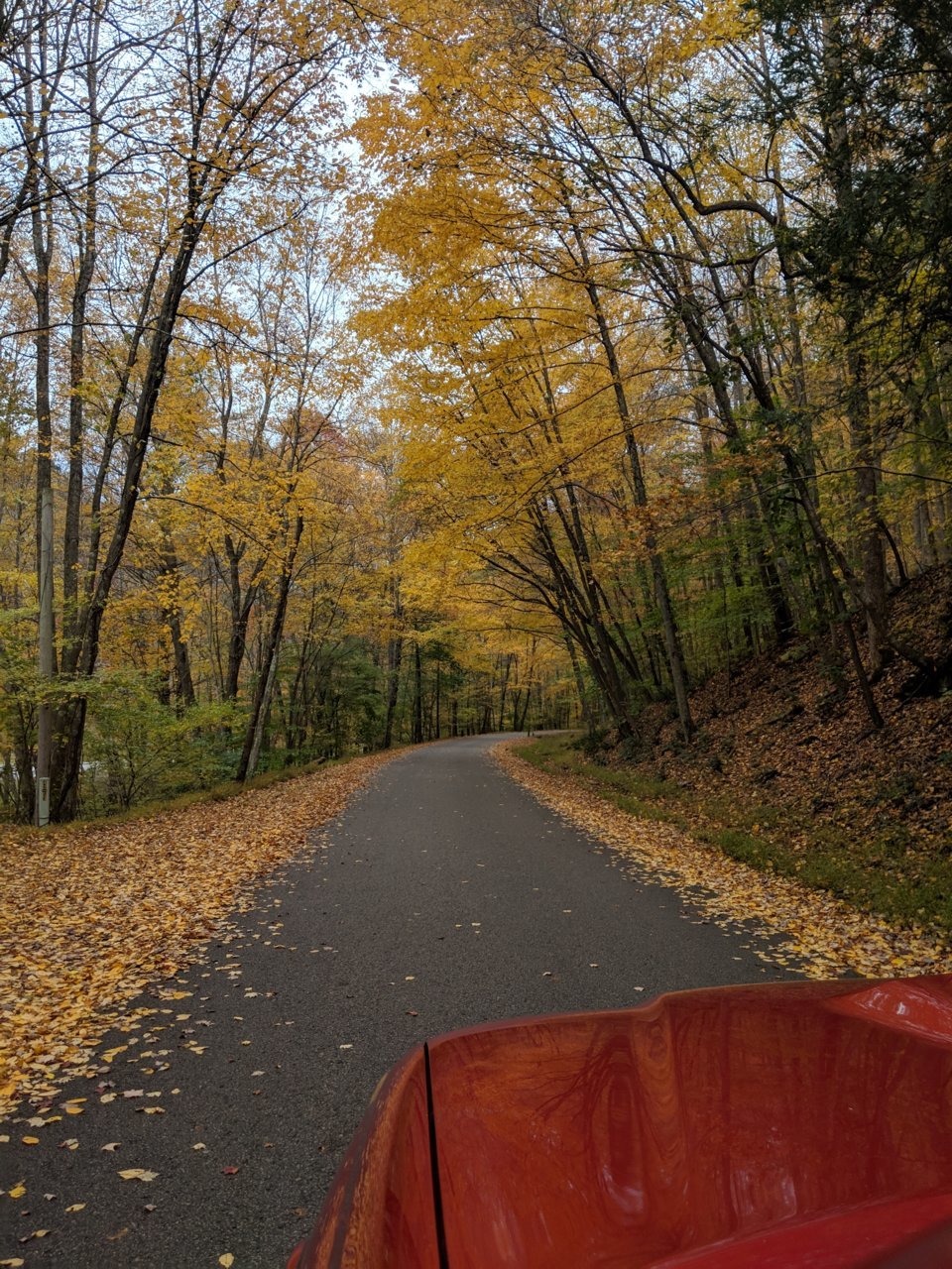 IMG_20181101_165036.jpg