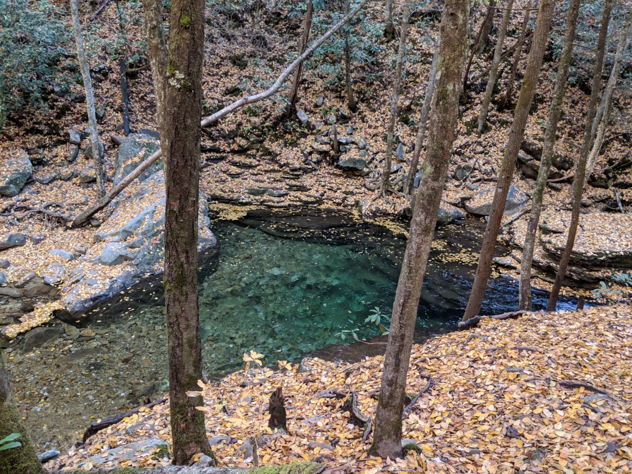 IMG_20181103_154719.jpg