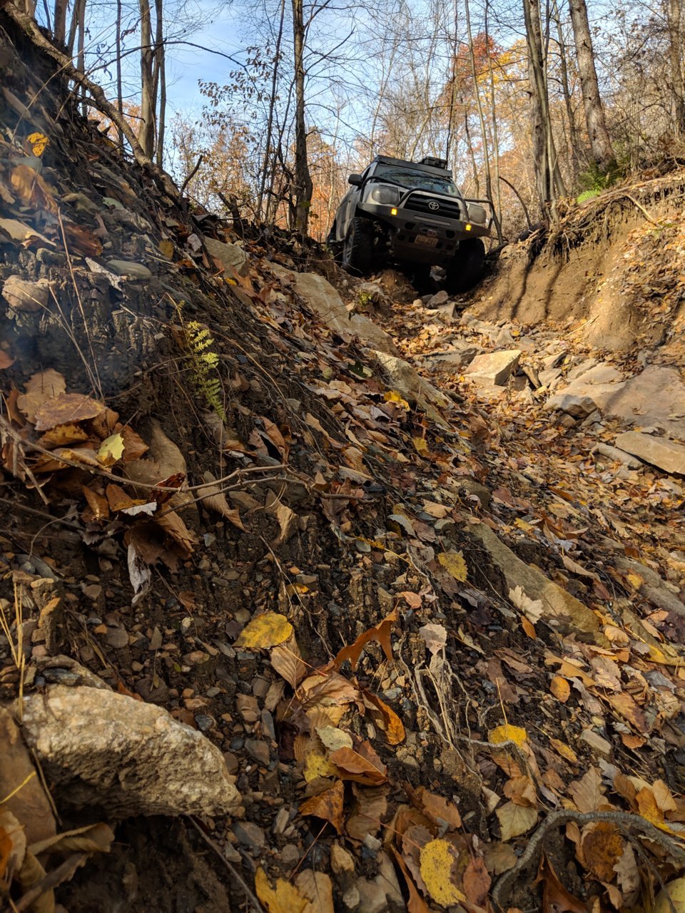 IMG_20181104_095816.jpg