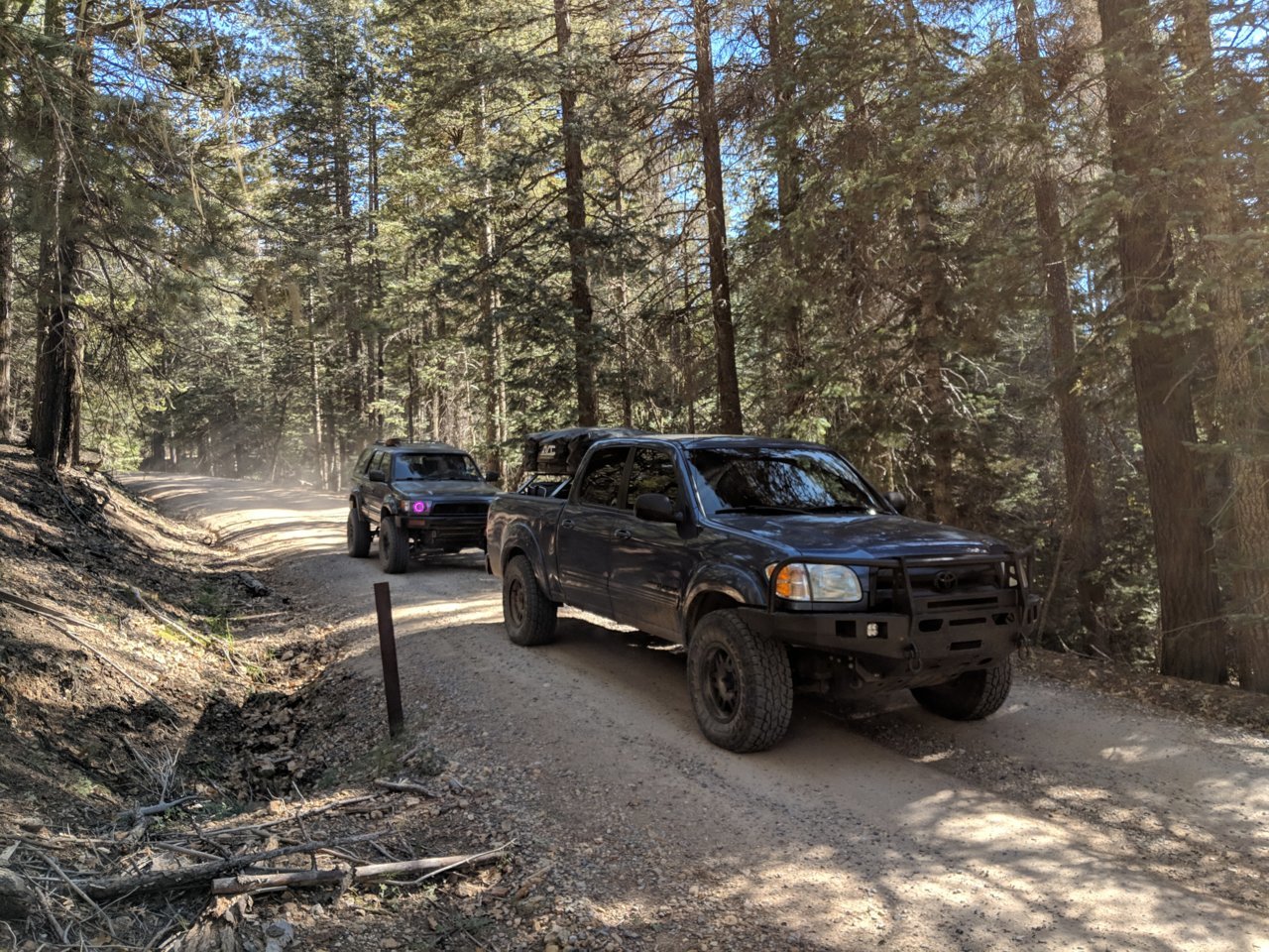 IMG_20181104_103936.jpg