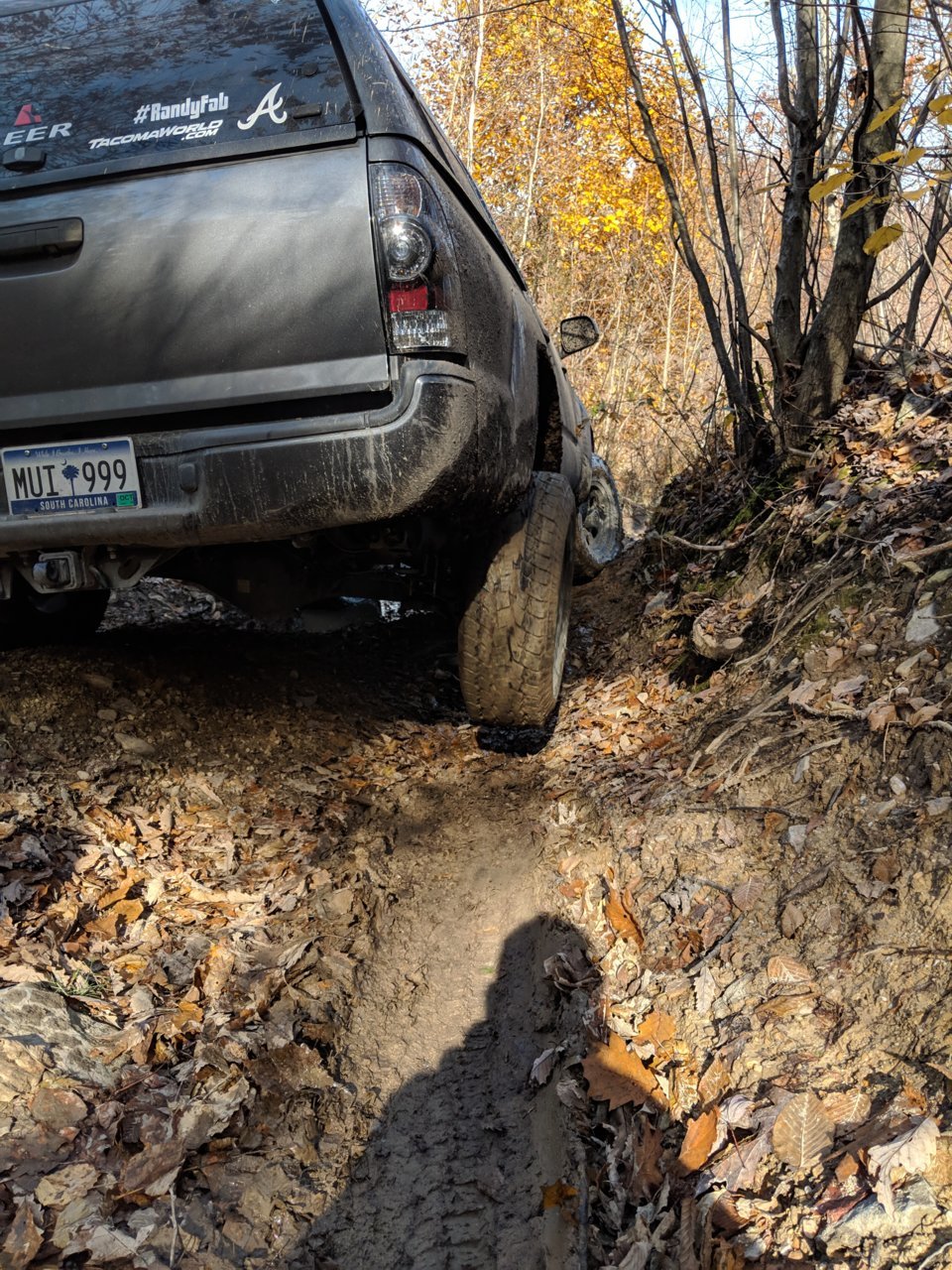 IMG_20181104_113142.jpg
