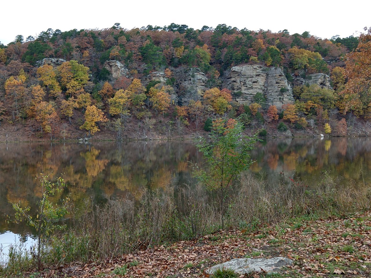 IMG_20181107_152931049_HDR.jpg
