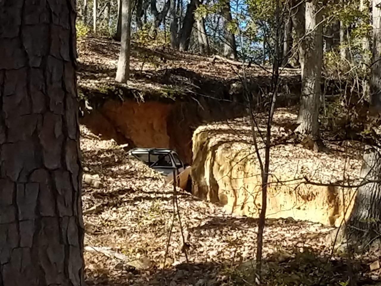 IMG_20181110_131623.jpg