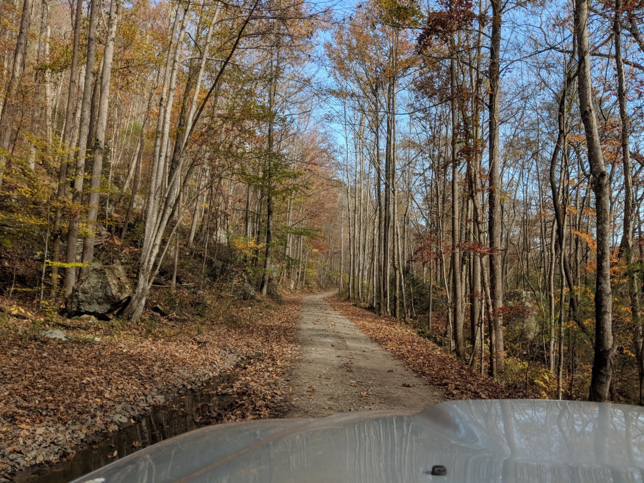 IMG_20181111_125109.jpg