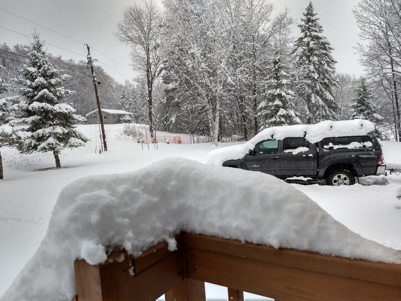 IMG_20181113_112219388_HDR.jpg