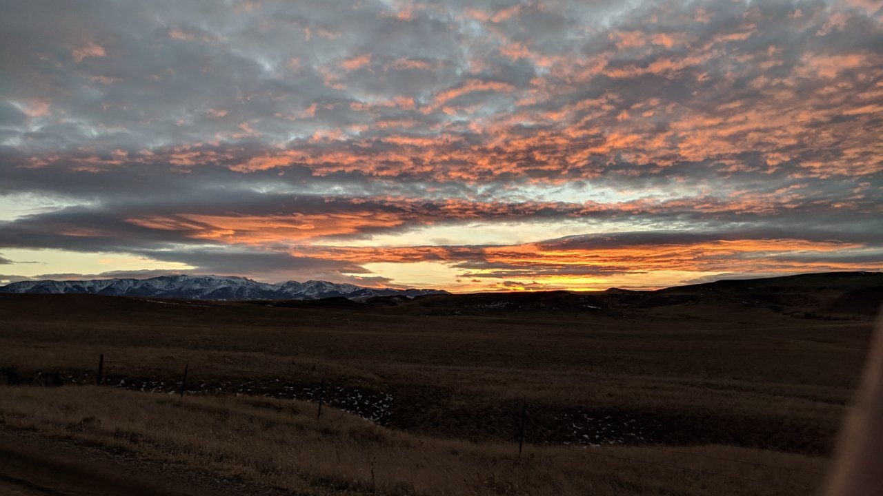 IMG_20181115_164844.jpg