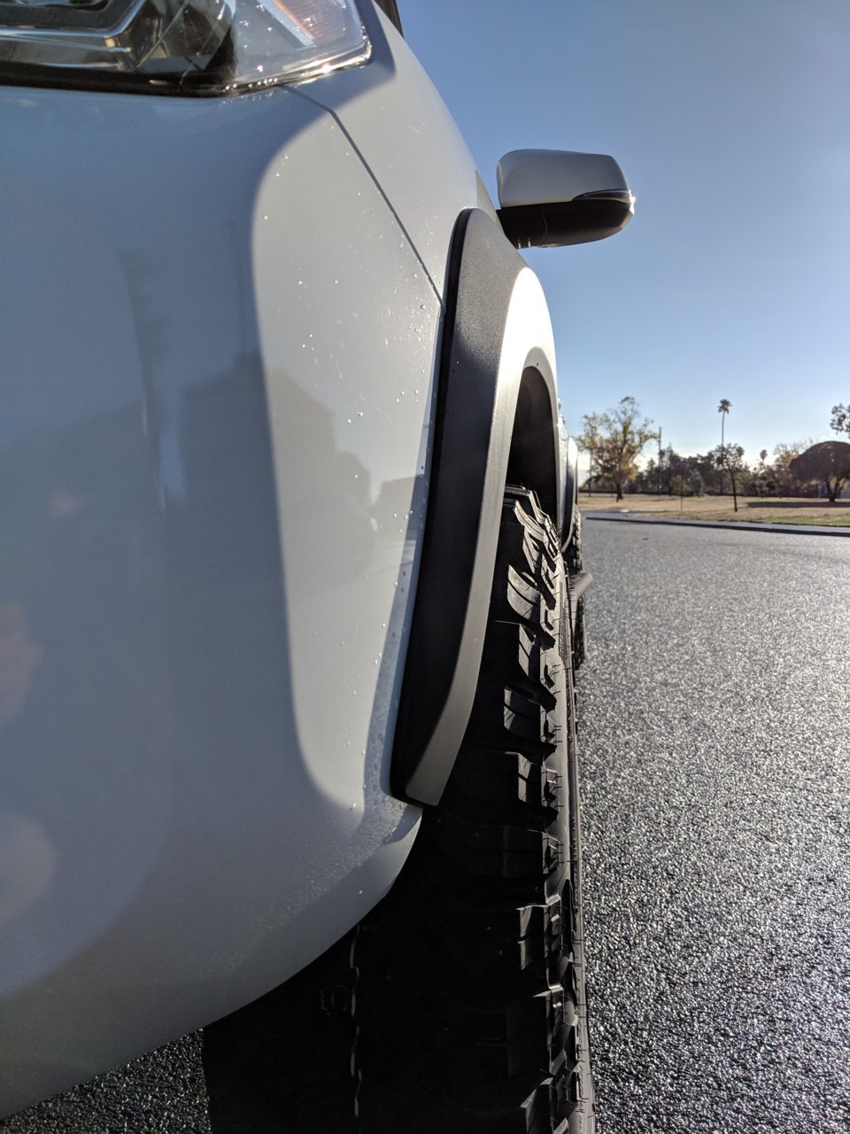 IMG_20181122_083658.jpg
