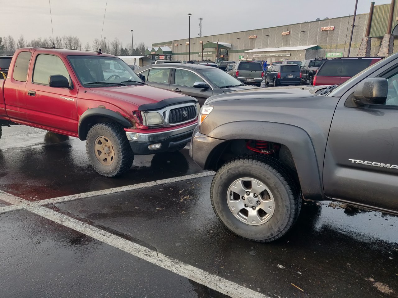 IMG_20181123_080525.jpg