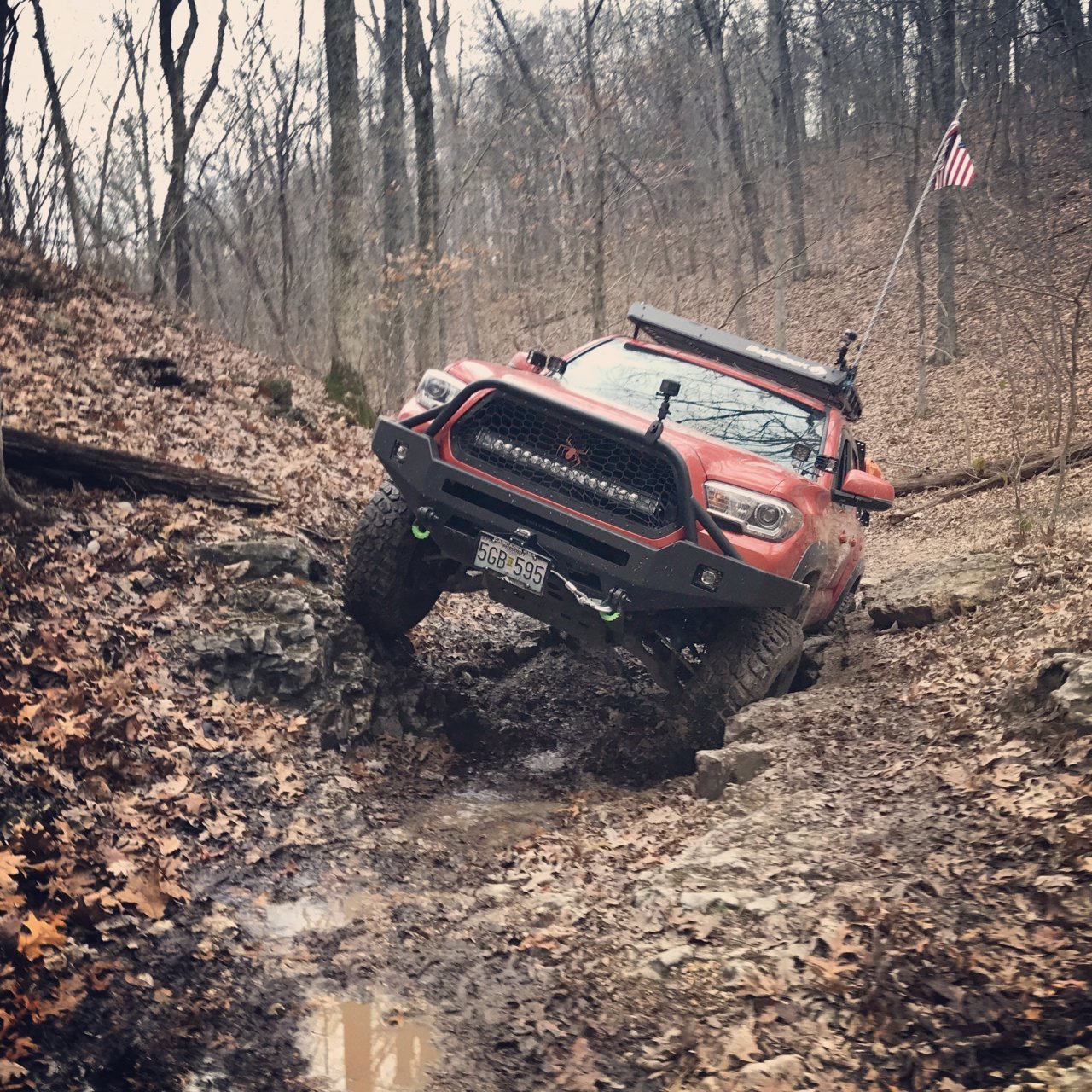 IMG_20181205_162812_869.jpg