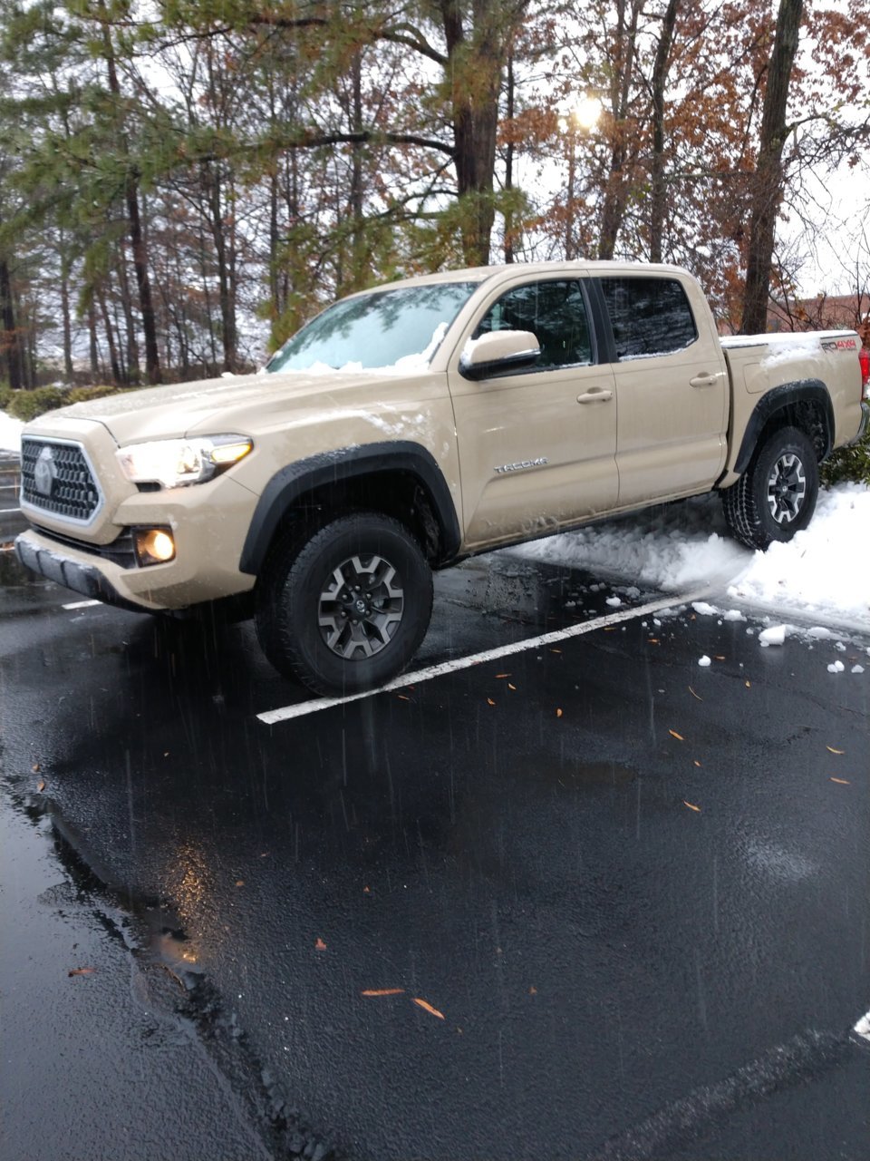 IMG_20181210_075247725.jpg