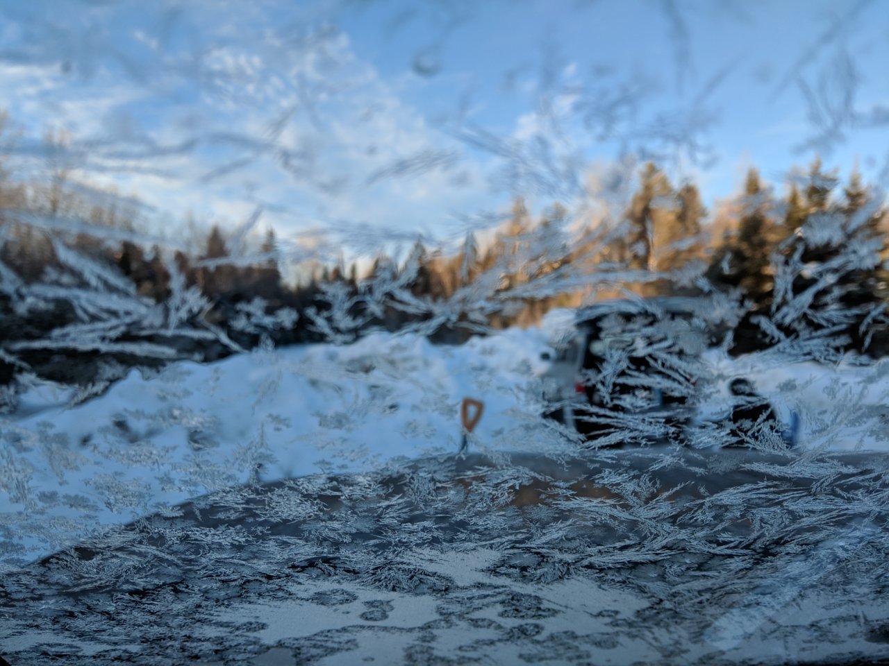 IMG_20181216_075402.jpg