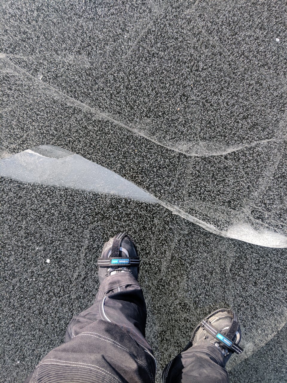 IMG_20181224_110649.jpg