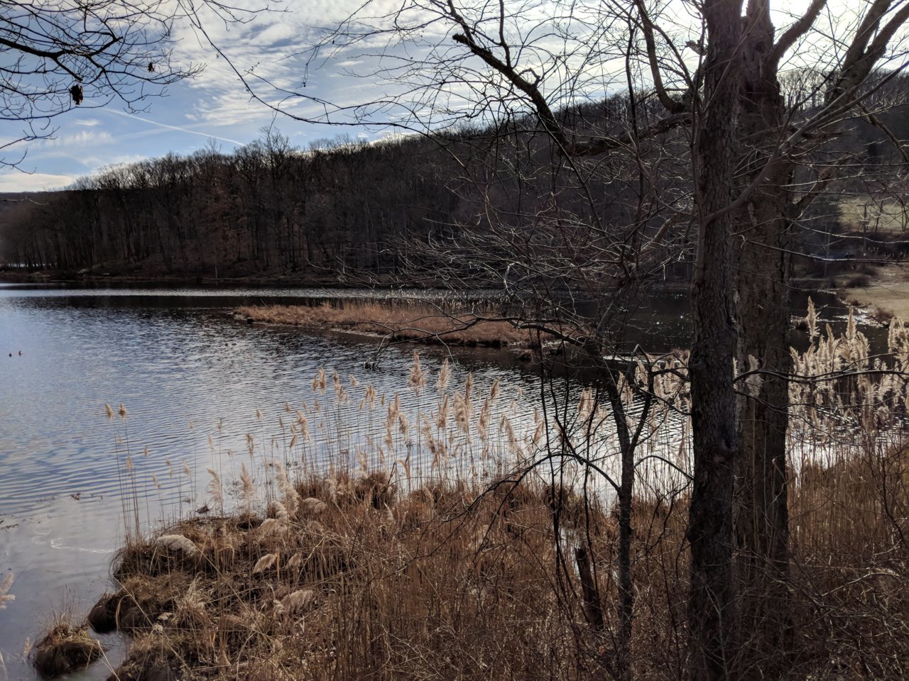 IMG_20181227_130741.jpg