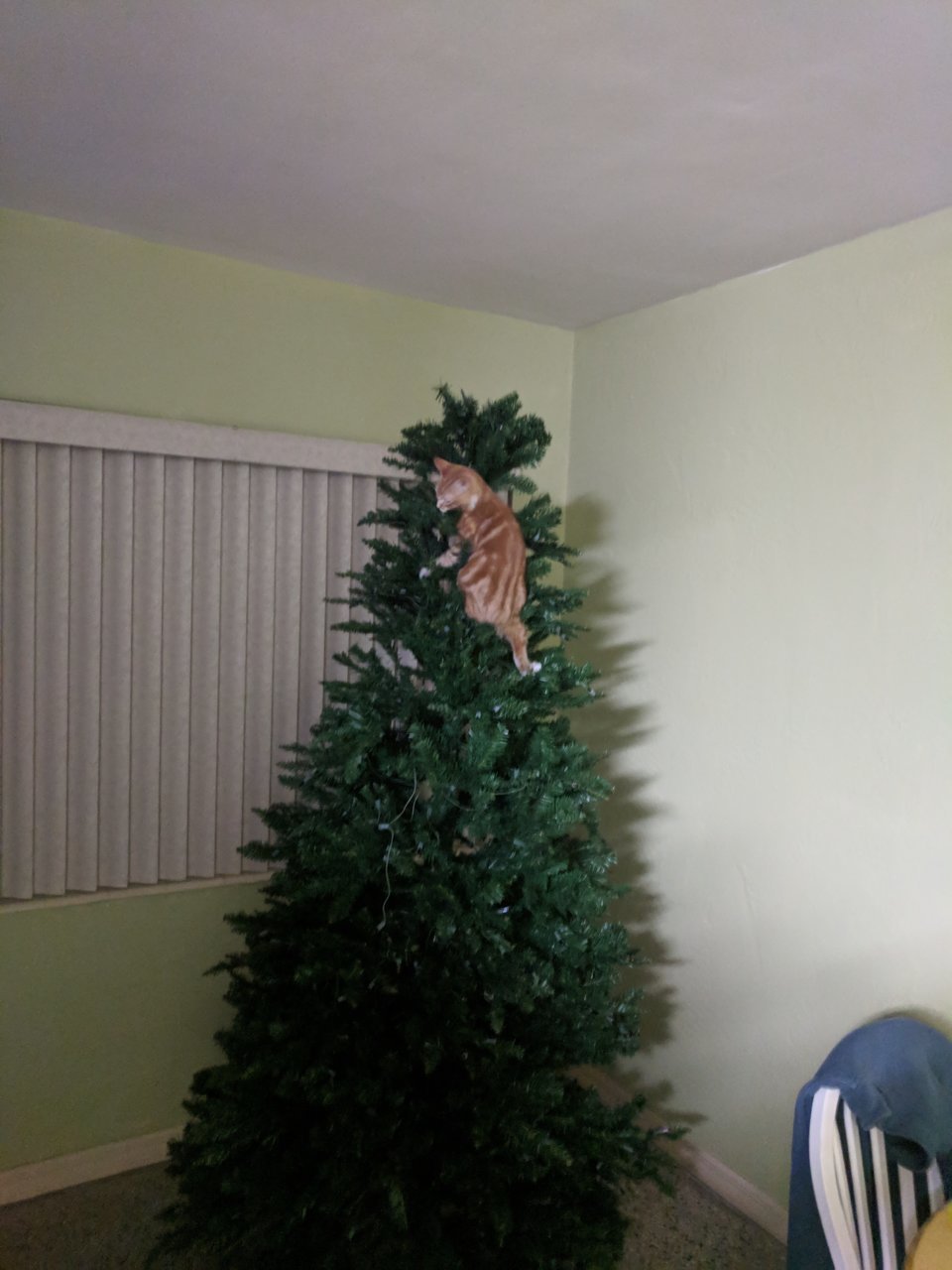 IMG_20181228_183547.jpg
