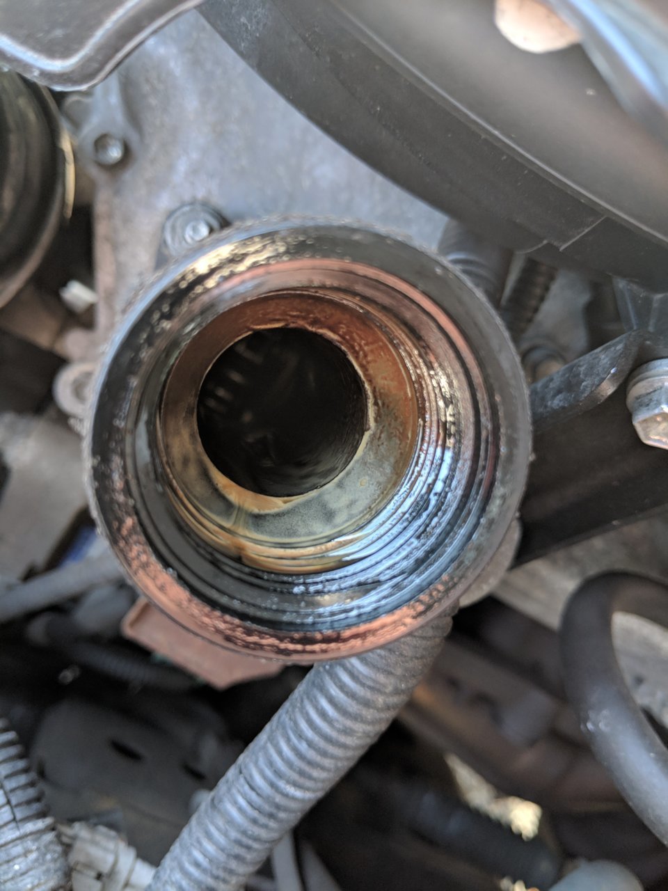 Oil cap gunk World