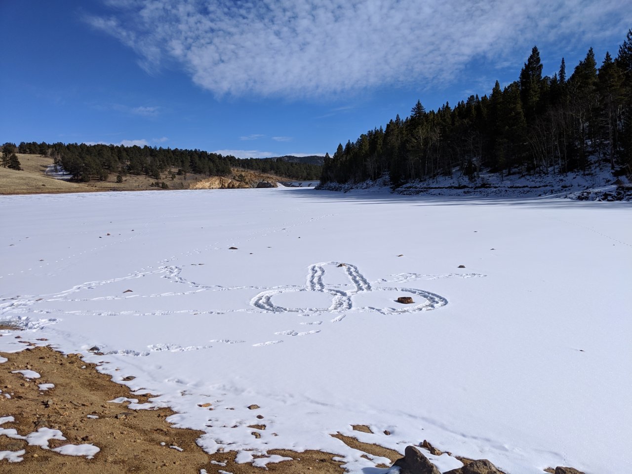 IMG_20190104_120442.jpg