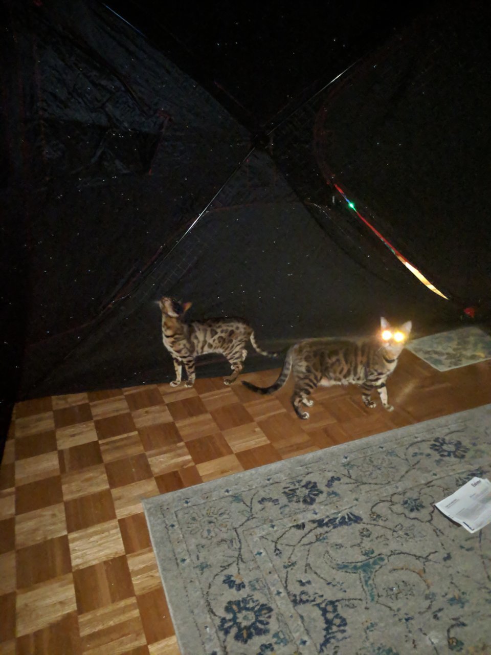 IMG_20190104_171851.jpg