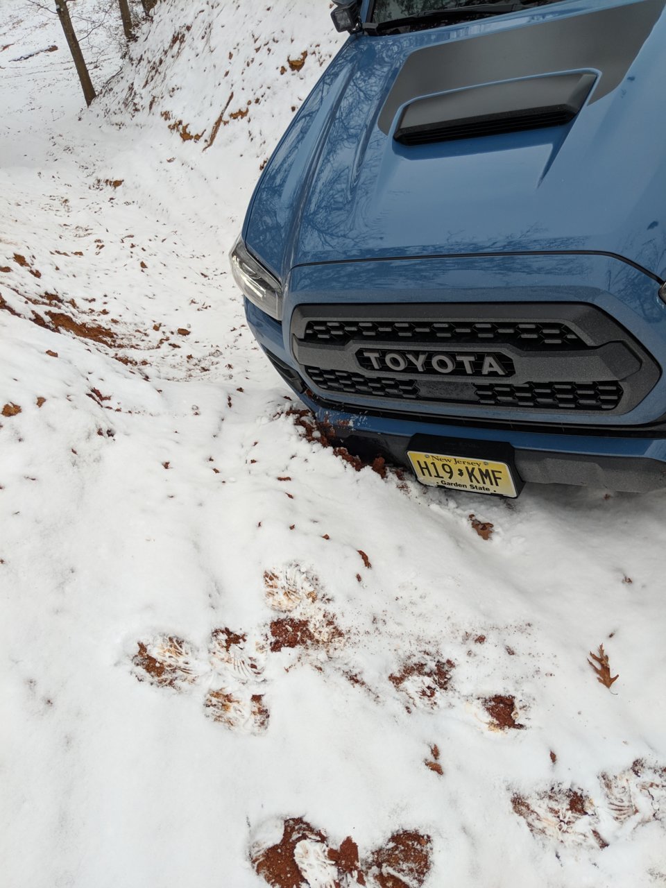 IMG_20190113_125312.jpg