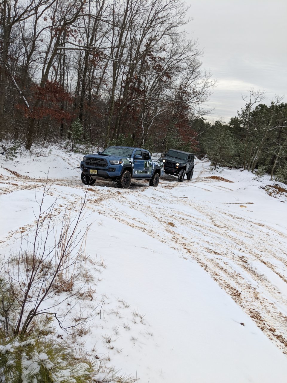 IMG_20190113_125659.jpg