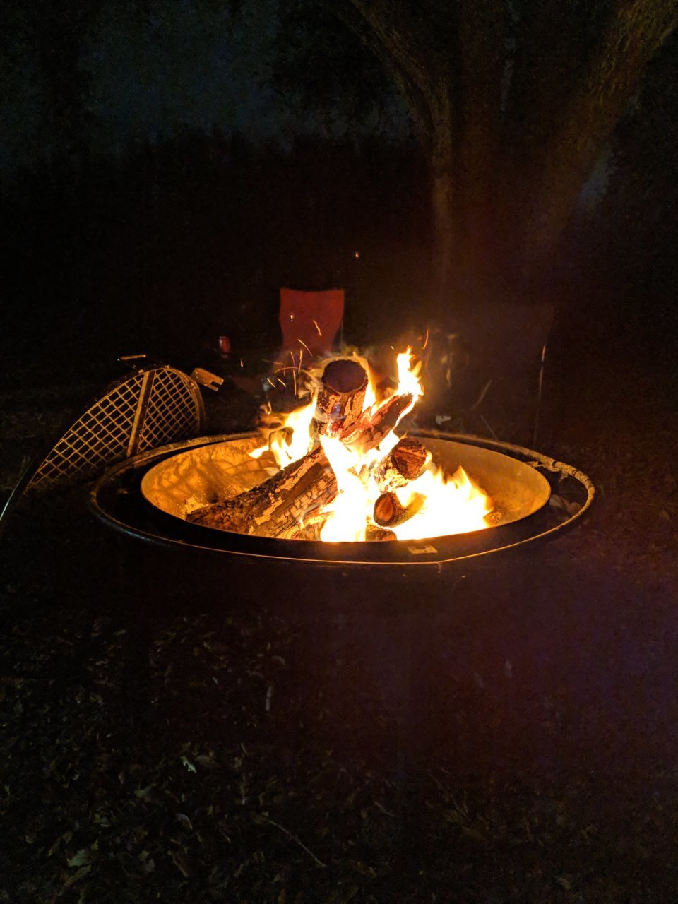 IMG_20190119_222048.jpg