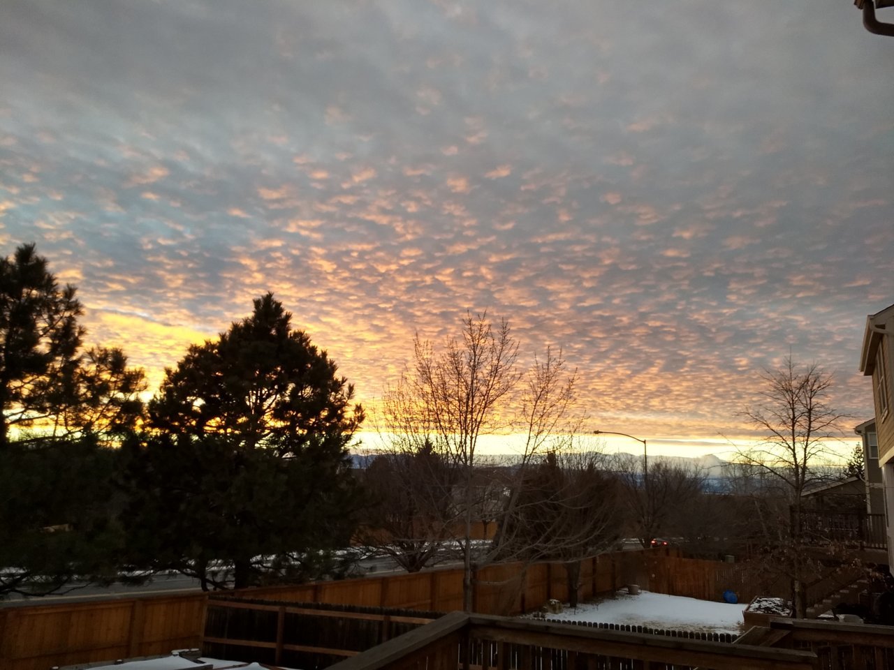 IMG_20190126_171605944_HDR.jpg