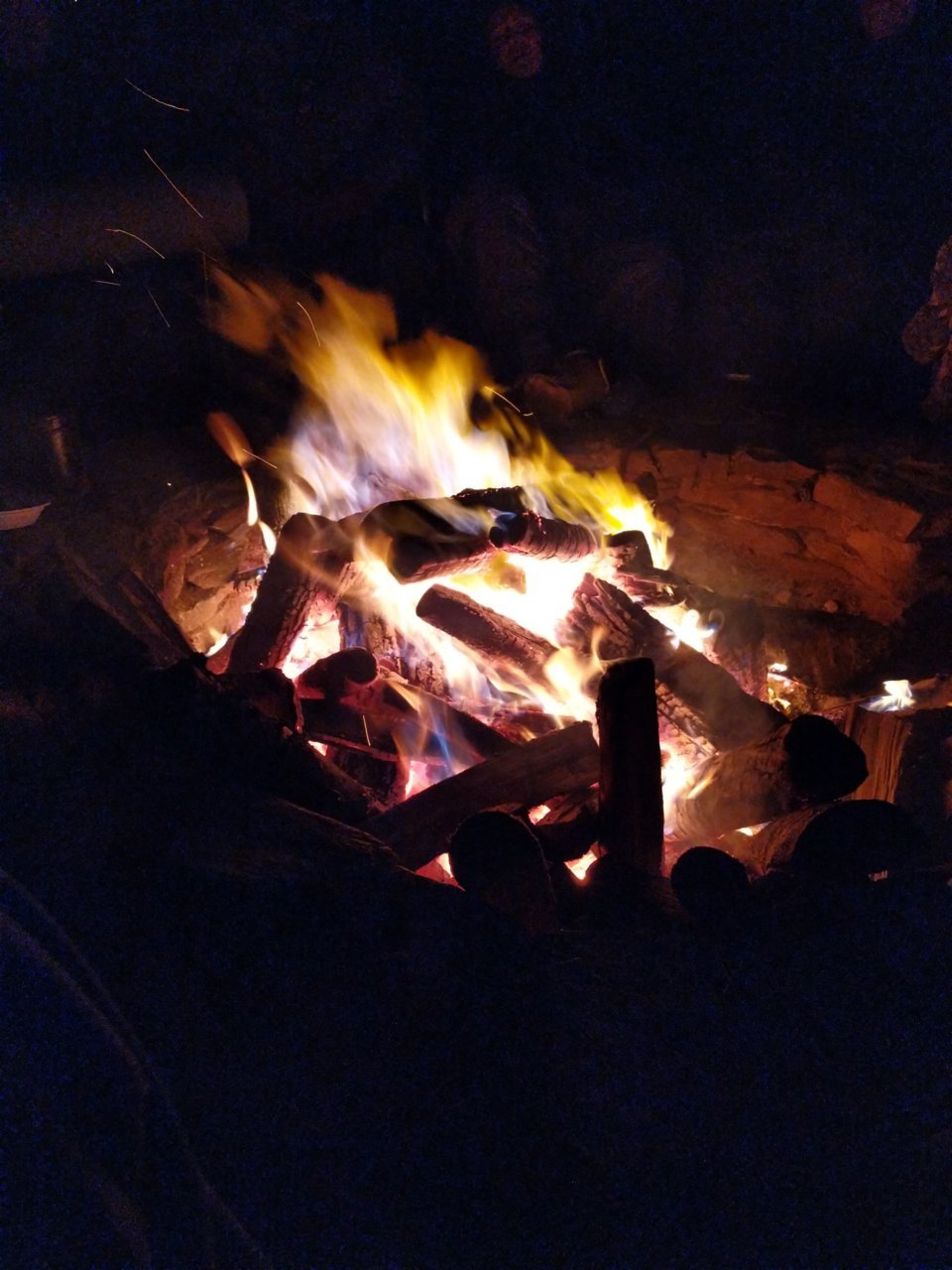 IMG_20190126_200750.jpg