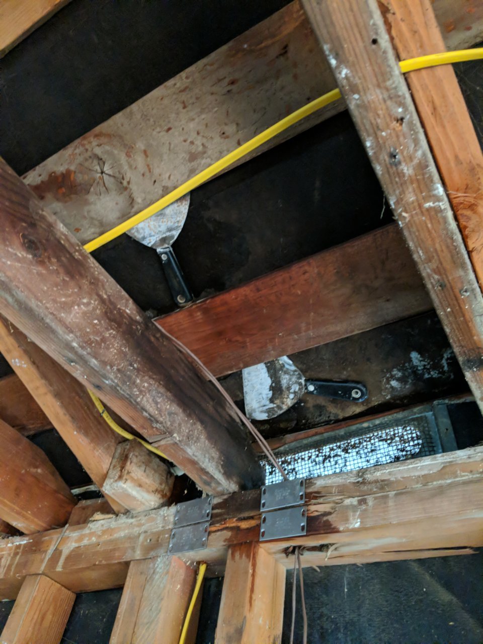 IMG_20190202_105605_01.jpg