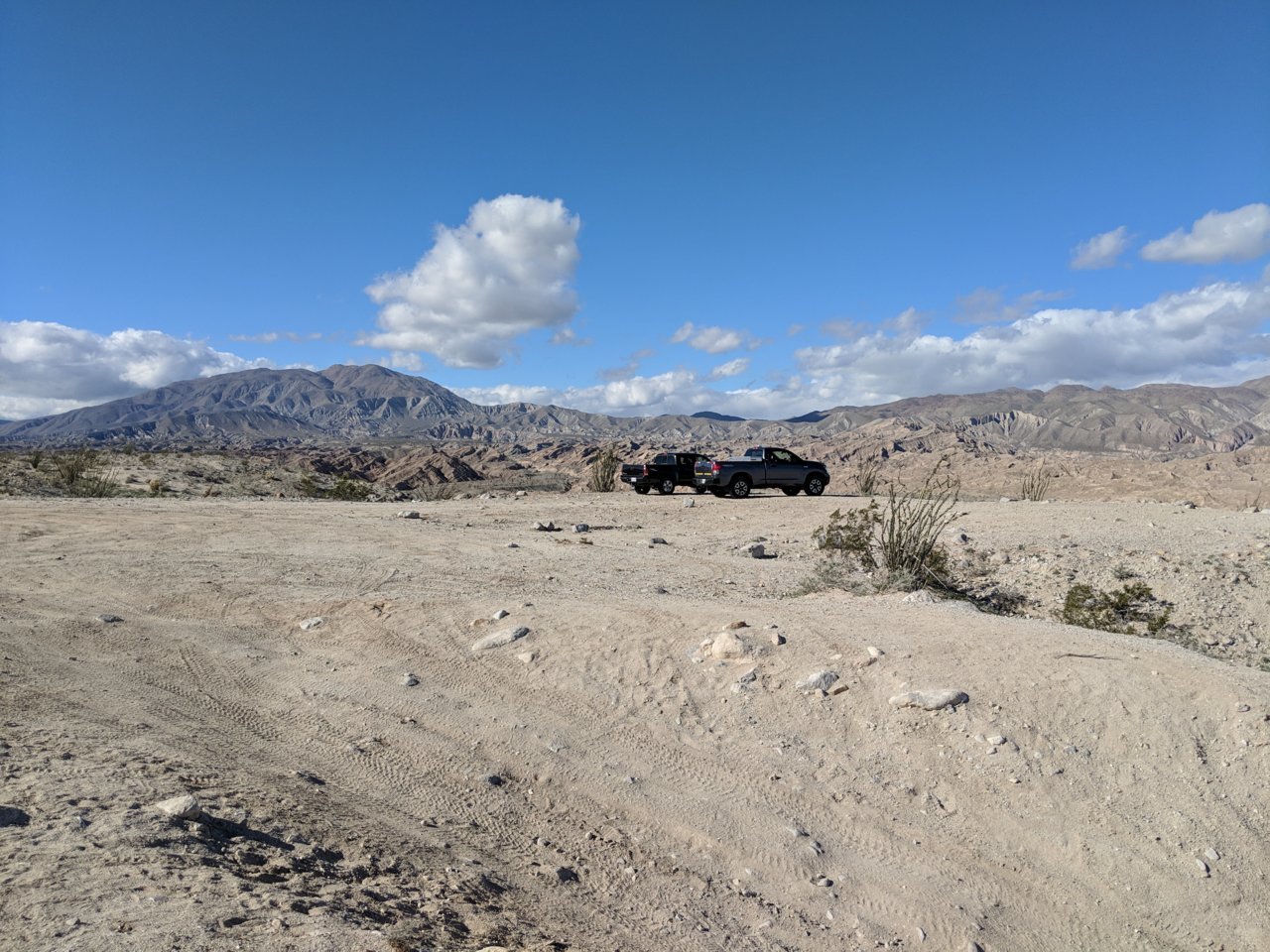 IMG_20190209_141911.jpg