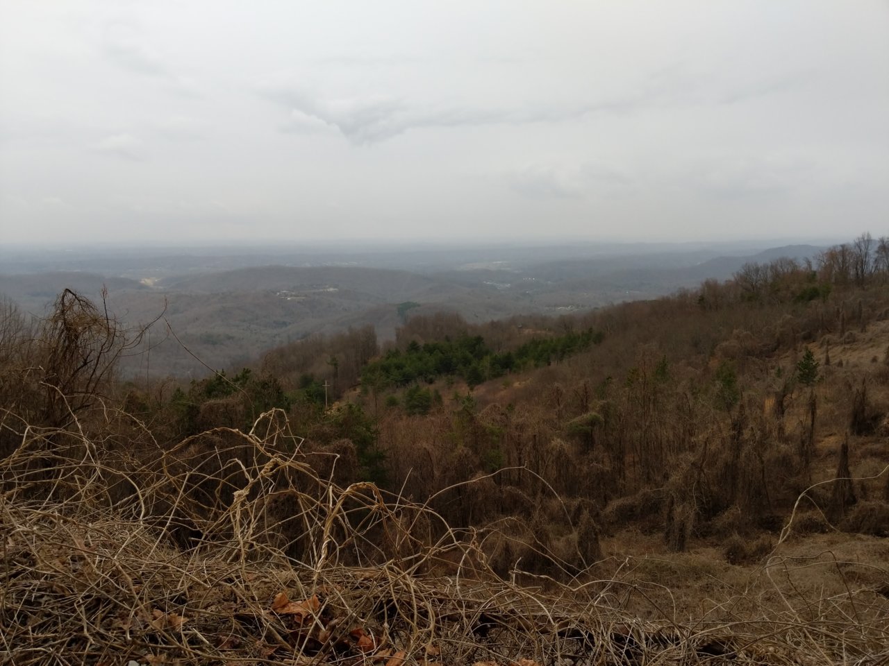 IMG_20190215_164504.jpg