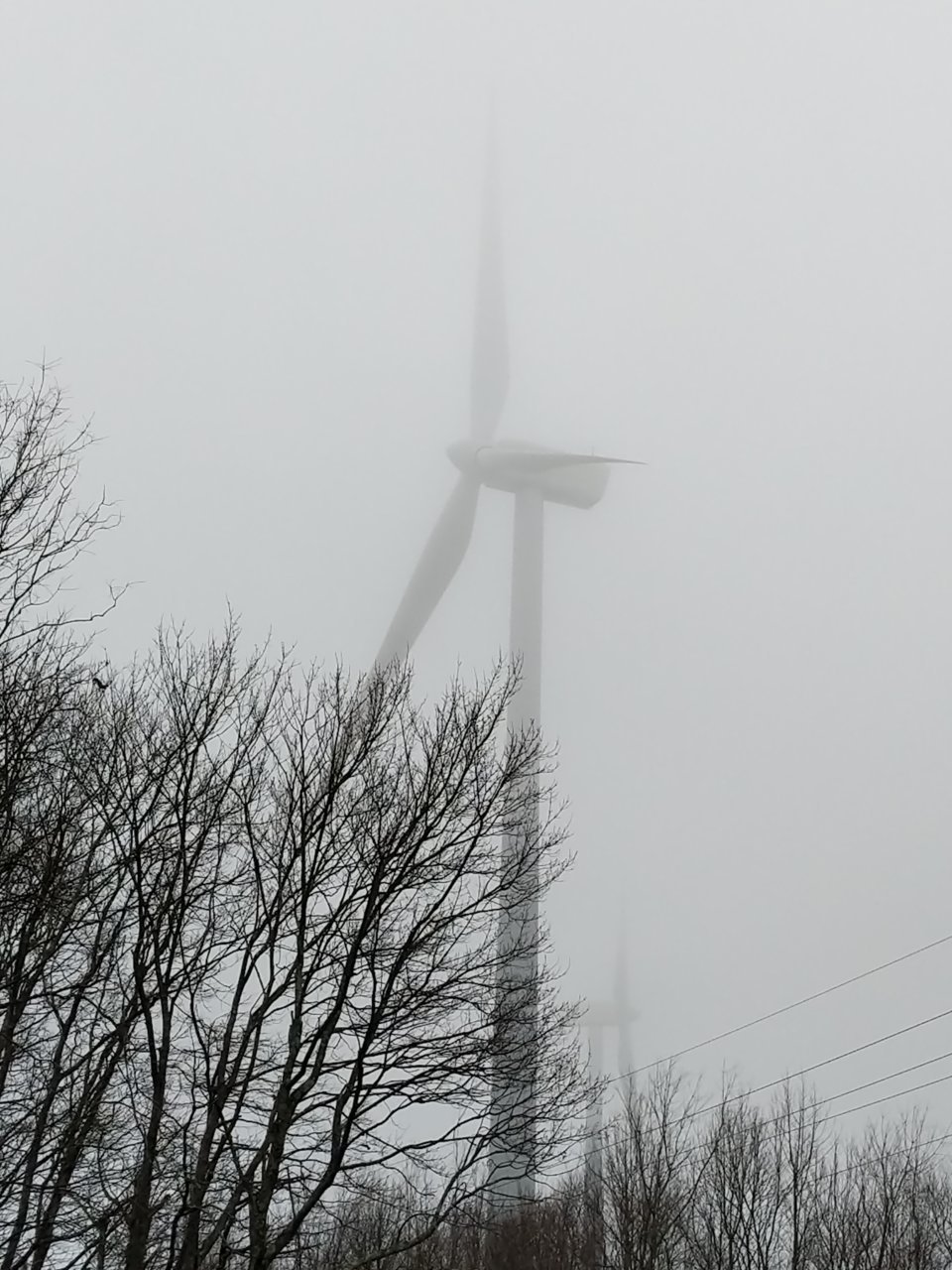 IMG_20190216_124603.jpg