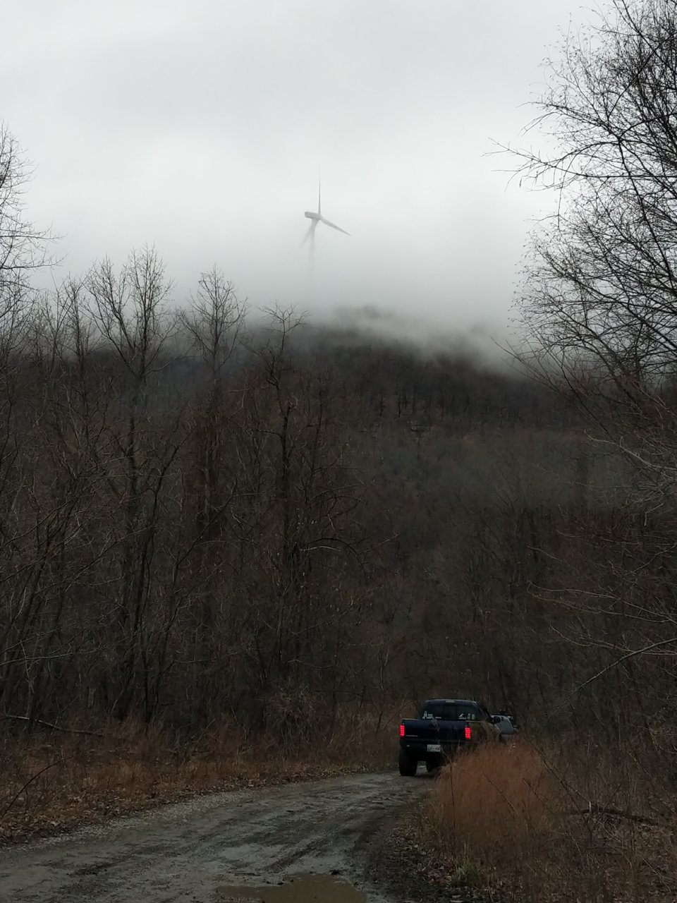 IMG_20190216_143914.jpg