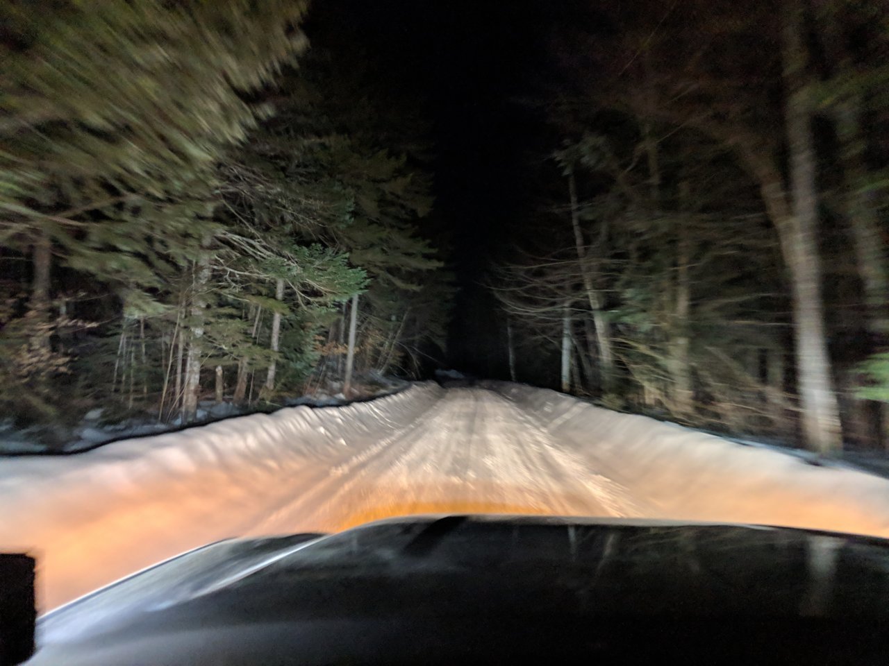 IMG_20190222_055413.jpg