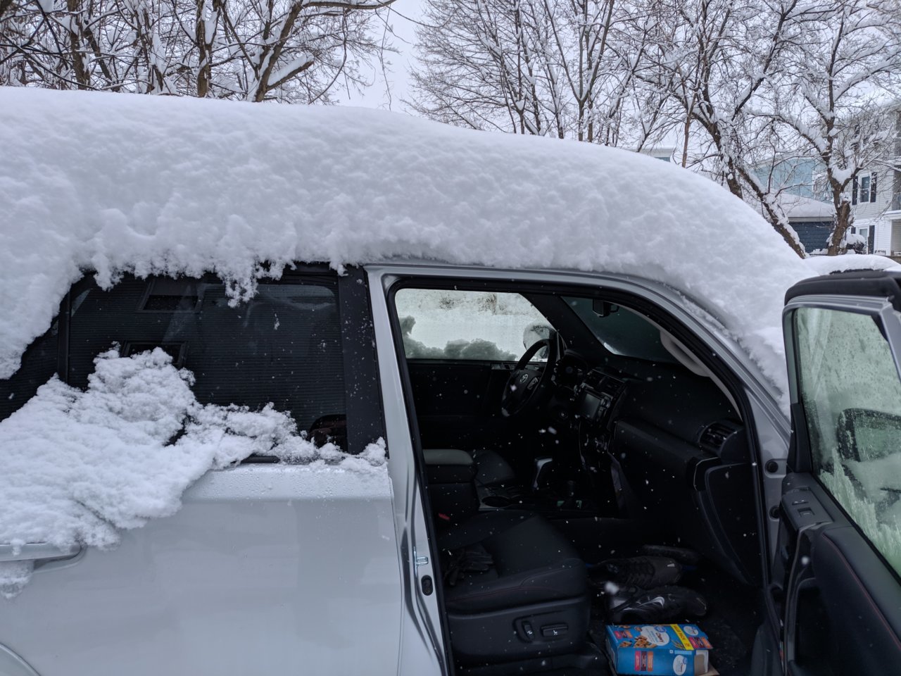 IMG_20190304_084919.jpg